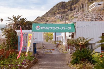 🏕️ 시라하마 플라워 파크 오션스 이미지 2